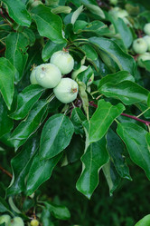 Similar image 21109721