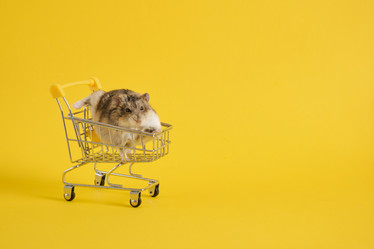 Similar image 21110052