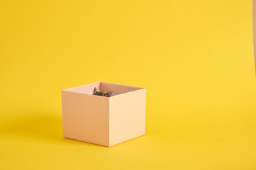 Similar image 21110054