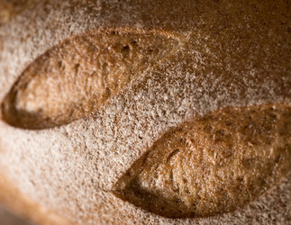 Similar image 21112834