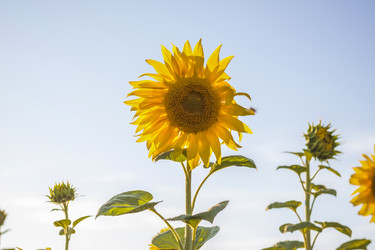 Similar image 21084336