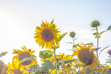 Similar image 21084337