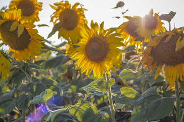 Similar image 21084338