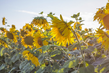 Similar image 21084342