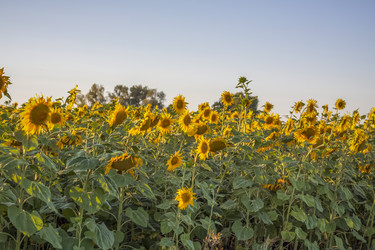 Similar image 21084344