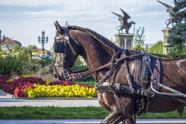 Similar image 21084353