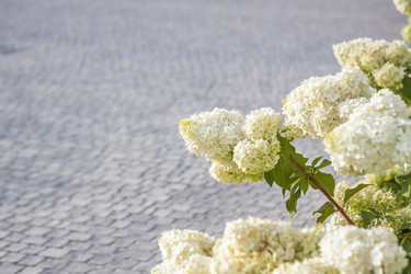 Similar image 21084369