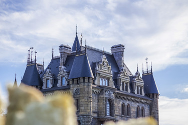 Similar image 21084384