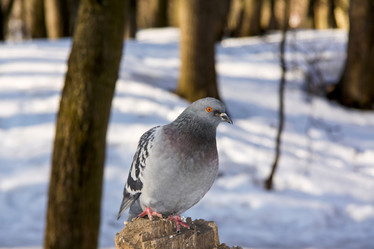 Similar image 21080943