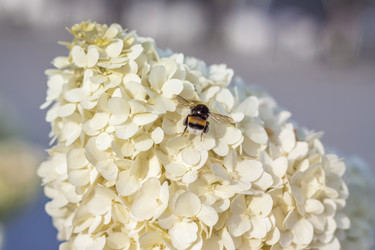 Similar image 21084393