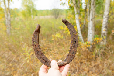 Similar image 21079653