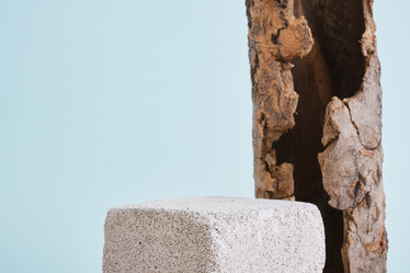 Similar image 21109801