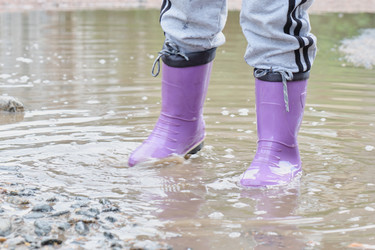 Similar image 21110064