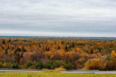 Similar image 21080944