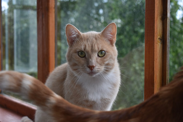 Similar image 21080945