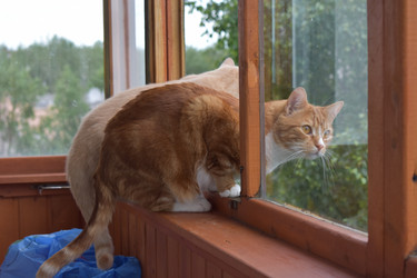 Similar image 21080953