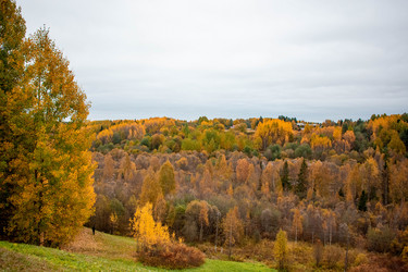 Similar image 21080954