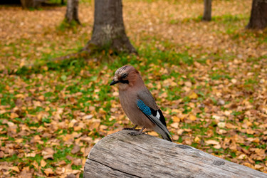 Similar image 21080956