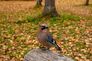 Similar image 21080958