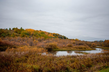 Similar image 21080961