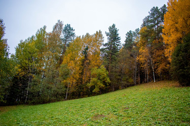 Similar image 21080962