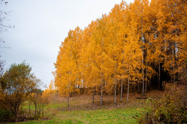 Similar image 21080963