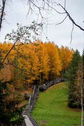 Similar image 21080965