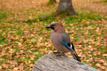 Similar image 21080974