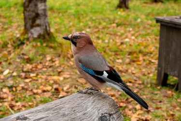 Similar image 21080975