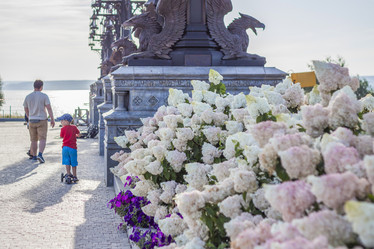 Similar image 21079658