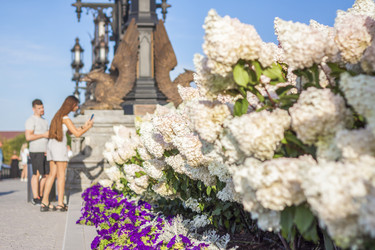 Similar image 21080976