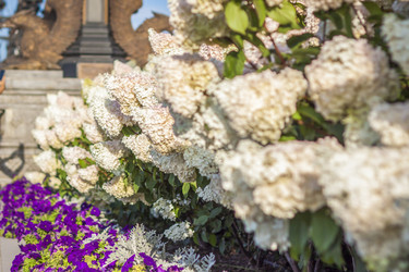 Similar image 21080977