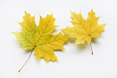 Similar image 21081105