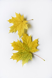 Similar image 21081106