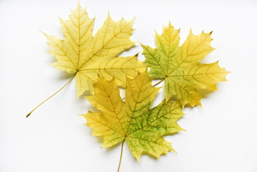 Similar image 21081112