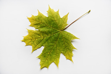 Similar image 21081113