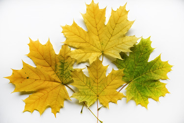 Similar image 21081117