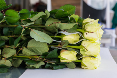 Similar image 21124406