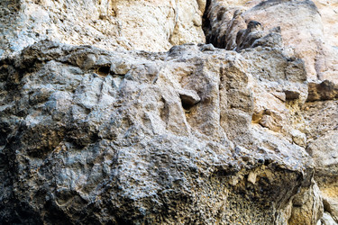 Similar image 21081387