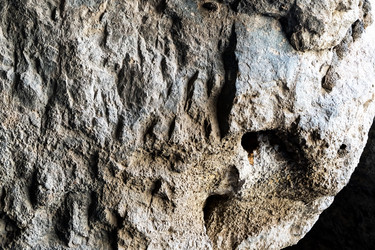 Similar image 21081389