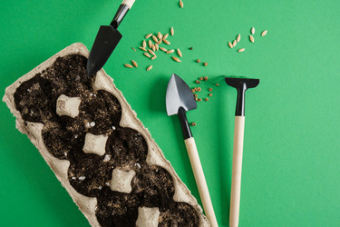 Similar image 21110080