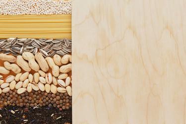 Similar image 21110547