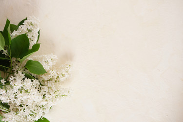 Similar image 21110551