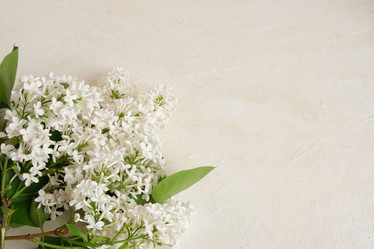 Similar image 21110563