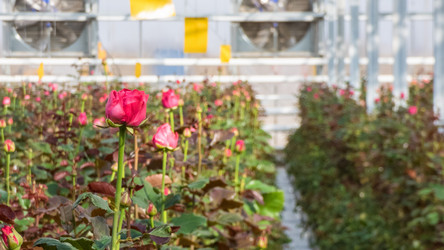 Similar image 21119493