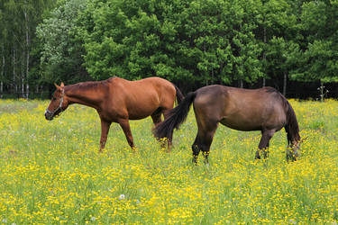 Similar image 21081450