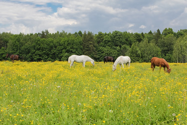 Similar image 21081452