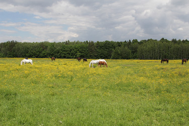 Similar image 21081457