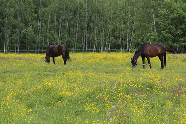 Similar image 21081458