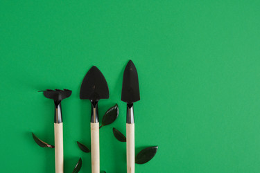 Similar image 21111775